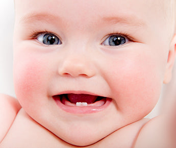 About Baby's First Tooth